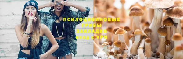 прущая мука Лагань